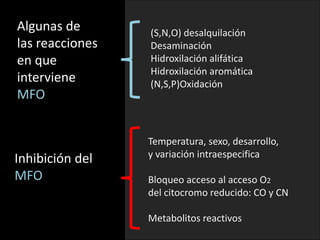 (S,N,O) desalquilación 
Desaminación 
Hidroxilación alifática 
Hidroxilación aromática 
(N,S,P)Oxidación 
Algunas de 
las reacciones 
en que 
interviene 
MFO 
Inhibición del 
MFO 
Temperatura, sexo, desarrollo, 
y variación intraespecifica 
Bloqueo acceso al acceso O2 
del citocromo reducido: CO y CN 
Metabolitos reactivos 
 
