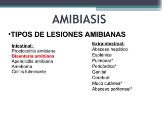 AMIBIASIS  Intestinal:  Proctocolitis amibiana Disentería amibiana Apendicitis amibiana Ameboma Colitis fulminante Extraintestinal:   Absceso hepático Esplénica Pulmonar* Pericárdica* Genital Cerebral Muco cutánea* Absceso peritoneal*   TIPOS DE LESIONES AMIBIANAS   