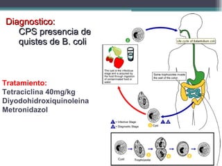 Diagnostico:  CPS presencia de quistes de B. coli  Tratamiento:  Tetraciclina 40mg/kg Diyodohidroxiquinoleina Metronidazol 