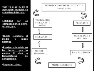 Q uiste resistente  al  medio  y j ugos  gastrico  P ueden sobrevivir  en las heces  por lo menos 8 días a   temperaturas   de congelación. S oportan  cloro.   “ Del  10 a 20 % de la población   mundial se considera infectada. Letalidad por las   complicaciones entre  0.1 y 0.25 % 