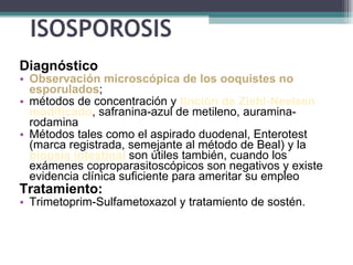 ISOSPOROSIS Diagnóstico  O bservación microscópica de los ooquistes no esporulados ;  métodos de concentración y  tinción  de  Ziehl-Neelsen modificado , safranina-azul de metileno, auramina-rodamina Métodos tales como el aspirado duodenal, Enterotest (marca registrada, semejante al método de Beal) y la  biopsia intestinal  son útiles también, cuando los exámenes coproparasitoscópicos son negativos y existe evidencia clínica suficiente para ameritar su empleo Tratamiento: Trimetoprim-Sulfametoxazol y tratamiento de sostén. 
