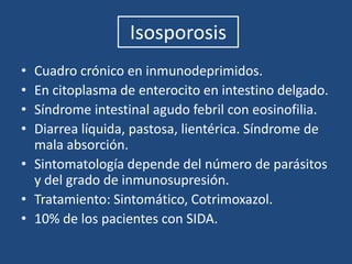 Tratamiento: Albendazol, hablitualmente utilizado en helmintos.Disco suctorial para adherirse a las células epiteliales.