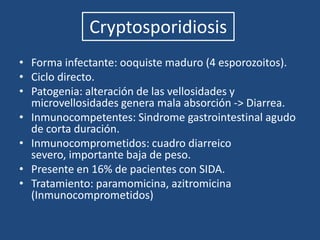 La G. lamblia es el enteropárasito de mayor prevalencia en la población infantil chilena.30%). 
