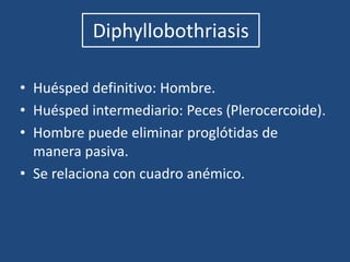 BalantidiasisProtozoo más grande que parasita al ser humano.Ubicación: intestino grueso.En cerdo: comensal. Elimina quistes.Considerada zoonosis.Ciclo directo.Sintomatología aguda: Diarrea, Disentería.Sintomatología crónica: Similar a colon irritable.Prevalencia 1%.Crianza higiénica de cerdos.Tratamiento: tetraciclina.