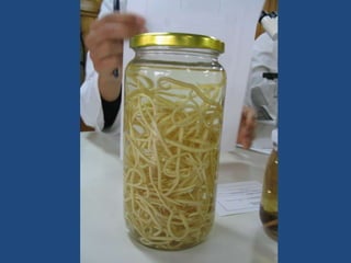 DiphyllobothriasisHuésped definitivo: Hombre.Huésped intermediario: Peces (Plerocercoide).Hombre puede eliminar proglótidas de manera pasiva.Se relaciona con cuadro anémico. 