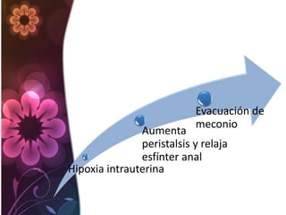 Hipoxia intrauterina
Aumenta
peristalsis y relaja
esfínter anal
Evacuación de
meconio
 
