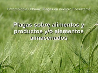 Entomología Urbana: Plagas en nuestro Ecosistema




   Plagas sobre alimentos y
   productos y/o elementos
        almacenados
 