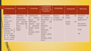 Competencias Indicadores Contenidos
Procedimientos
(Actividades de
aprendizaje y de
evaluación)
Actitudinal Evaluación Recursos
Establece
diferencias
entre
sensaciones
visuales,
auditivas,
hápticas,
gustativas y
olfativas que le
permiten el
conocimiento
de la realidad
de su medio
social y natural
Identifica las
diferentes
sensaciones
que percibe
por medio del
tacto, el
gusto, el
olfato.
Clasificación
de objetos
según los
diferentes
sabores que
se perciben:
salado, dulce,
ácido,
amargo, entre
otros.
Exploración
de objetos y
elementos a
través del
tacto
Identifica
entre los
diferentes
sabores:
salado, dulce,
ácido,
amargo, entre
otros.
Aprecio y
cuidado de
sus sentidos.
Tabla de
cotejo
Escala de
rango
Cartulinas o
pliegos de
papel bond
Marcadores
permanentes
Fruta
Sal
 