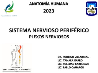 2023
SISTEMA NERVIOSO PERIFÉRICO
PLEXOS NERVIOSOS
 