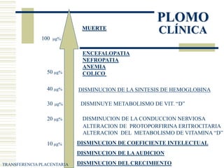 CRITERIOS DE INTERVENCION
MEDICA
DEPENDEN DE LA EDAD Y NIVEL DE PLOMO EN SANGRE
 Plombemia - 0 a 9 µg %:
 0 a 14 años: M...