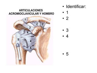 Identificar: 1 2 3 4 5