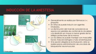 INDUCCIÓN DE LA ANESTESIA
 Generalmente se realiza por fármacos i.v.:
propofol.
 En niños se puede inducir con agentes
inhalados.
 La disminución del nivel de consciencia se
asocia con pérdida de control de la vía aérea
y la abolición en mayor o menor grado de los
reflejos protectores de la misma-
 La vía aérea se puede manejar con mascarilla
facial, máscara laríngea o tubo endotraqueal.
 Si la opción elegida es la intubación, ésta se
realiza previa administración de una dosis de
bloqueante neuromuscular.
 