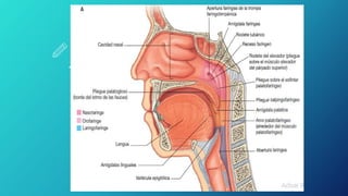 THIS IS A SLIDE TITLE
 