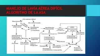 MANEJO DE LAVÍA AÉREA DIFÍCIL
ALGORITMO DE LA ASA
 