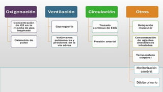 Monitorización
cerebral
Débito urinario
 