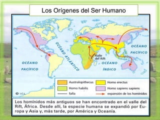 Los Orígenes del Ser Humano
 