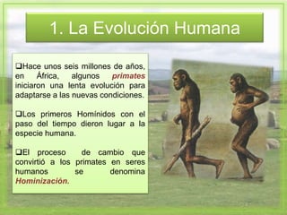 1. La Evolución Humana
Hace unos seis millones de años,
en África, algunos primates
iniciaron una lenta evolución para
adaptarse a las nuevas condiciones.
Los primeros Homínidos con el
paso del tiempo dieron lugar a la
especie humana.
El proceso de cambio que
convirtió a los primates en seres
humanos se denomina
Hominización.
 