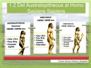 1.2 Del Australopithecus al Homo
Sapiens Sapiens
Fuente: Domus I Historia y Geografía
 