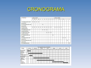 CRONOGRAMA 