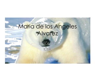 Maria de los Angeles
Alvarez
15006372
K1A
 
