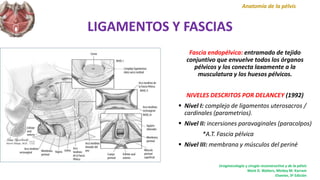 LIGAMENTOS Y FASCIAS
Fascia endopélvica: entramado de tejido
conjuntivo que envuelve todos los órganos
pélvicos y los conecta laxamente a la
musculatura y los huesos pélvicos.
NIVELES DESCRITOS POR DELANCEY (1992)
 Nivel I: complejo de ligamentos uterosacros /
cardinales (parametrios).
 Nivel II: incersiones paravaginales (paracolpos)
*A.T. Fascia pélvica
 Nivel III: membrana y músculos del periné
Anatomía de la pélvis
Uroginecología y cirugía reconstructiva y de la pélvis
Mark D. Walters, Mickey M. Karram
Elsevier, 3ª Edición
 