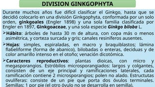 Claser Claser 2 Sistemática Fanerogamia. de las plantaspptx | PPTX