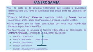 Claser Claser 2 Sistemática Fanerogamia. de las plantaspptx | PPTX