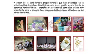 Claser Claser 2 Sistemática Fanerogamia. de las plantaspptx | PPTX