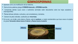 Claser Claser 2 Sistemática Fanerogamia. de las plantaspptx | PPTX