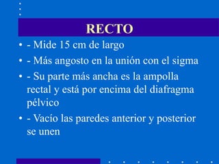 RECTO
• - Mide 15 cm de largo
• - Más angosto en la unión con el sigma
• - Su parte más ancha es la ampolla
rectal y está por encima del diafragma
pélvico
• - Vacío las paredes anterior y posterior
se unen
 