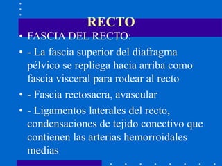 RECTO
• FASCIA DEL RECTO:
• - La fascia superior del diafragma
pélvico se repliega hacia arriba como
fascia visceral para rodear al recto
• - Fascia rectosacra, avascular
• - Ligamentos laterales del recto,
condensaciones de tejido conectivo que
contienen las arterias hemorroidales
medias
 