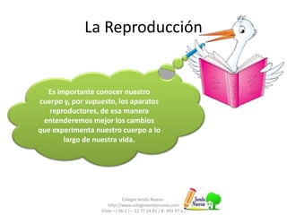 La Reproducción
Colegio Senda Nueva -
http://www.colegiosendanueva.com
Chile – ( 56-2 ) – 22 77 24 81 / 8- 493 97 47
Es importante conocer nuestro
cuerpo y, por supuesto, los aparatos
reproductores, de esa manera
entenderemos mejor los cambios
que experimenta nuestro cuerpo a lo
largo de nuestra vida.
 