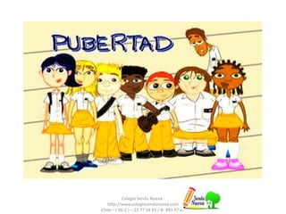 Colegio Senda Nueva -
http://www.colegiosendanueva.com
Chile – ( 56-2 ) – 22 77 24 81 / 8- 493 97 47
 