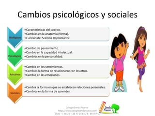 Cambios psicológicos y sociales
Biológicos
•Características del cuerpo.
•Cambios en la anatomía (forma).
•Función del Sistema Reproductor.
Psicológicos
•Cambio de pensamiento.
•Cambio en la capacidad intelectual.
•Cambios en la personalidad.
Afectivos
•Cambio en los sentimientos.
•Cambios la forma de relacionarse con los otros.
•Cambio en las emociones.
Sociales
•Cambia la forma en que se establecen relaciones personales.
•Cambios en la forma de aprender.
Colegio Senda Nueva -
http://www.colegiosendanueva.com
Chile – ( 56-2 ) – 22 77 24 81 / 8- 493 97 47
 