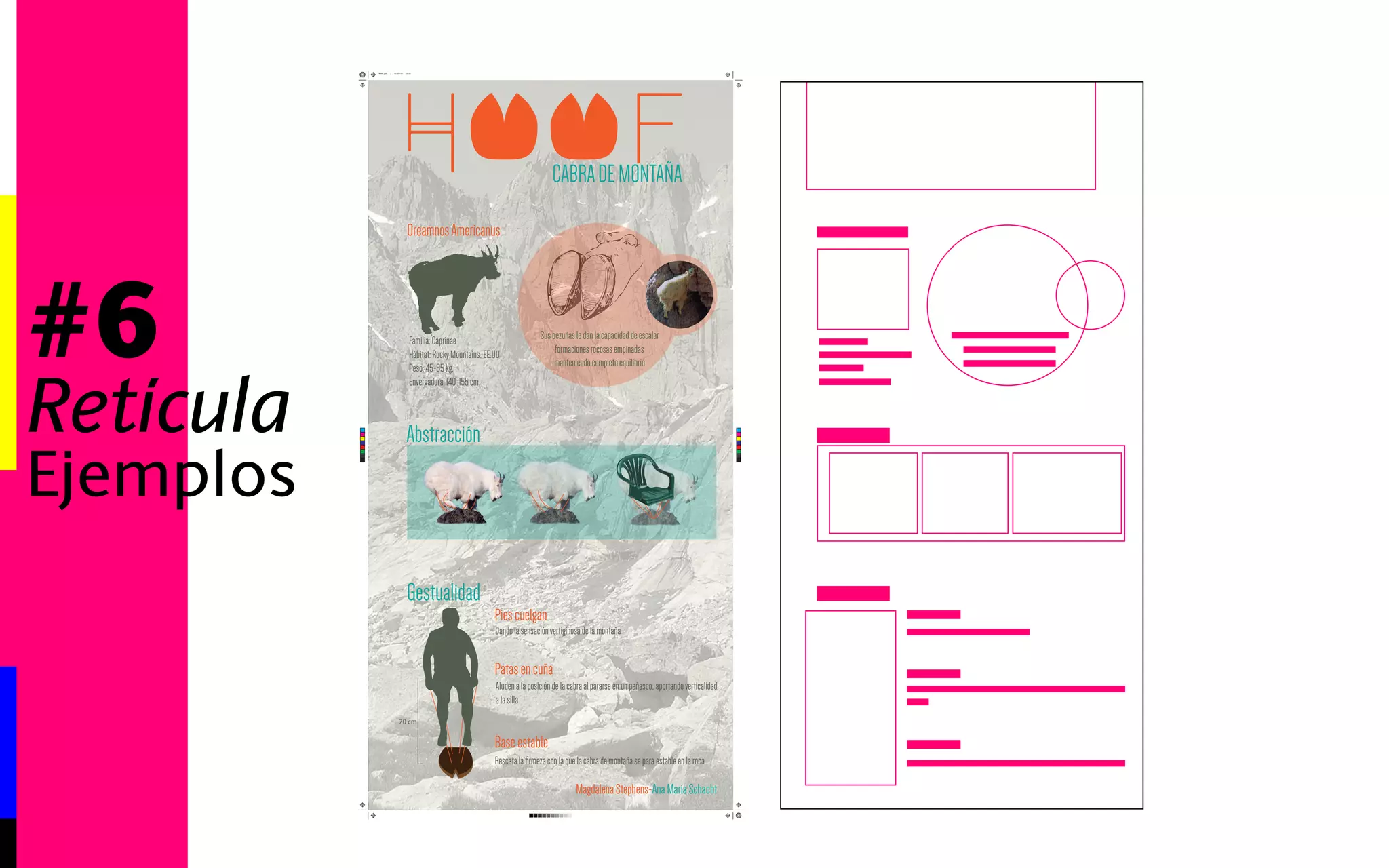 #6 
Retícula 
Lámina 
 