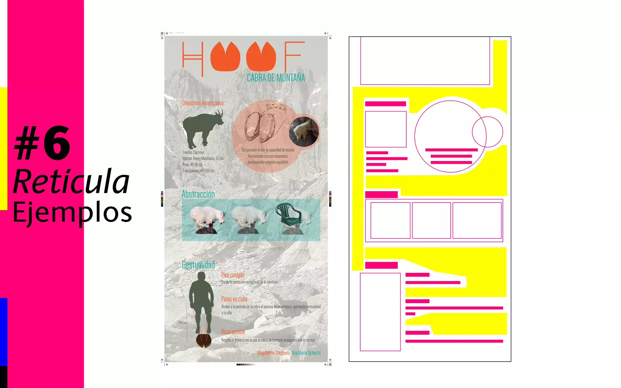 #6 
Retícula 
Ejemplos 
CABRA DE MONTAÑA 
Oreamnos Americanus 
Familia: Caprinae 
Hábitat: Rocky Mountains, EE.UU 
Peso: 4585 
kg. 
Envergadura: 140155 
cm, 
Sus pezuñas le dan la capacidad de escalar 
formaciones rocosas empinadas 
manteniendo completo equilibrio 
Abstracción 
Gestualidad 
Pies cuelgan 
Dando la sensación vertiginosa de la montaña 
Patas en cuña 
Aluden a la posición de la cabra al pararse en un peñasco, aportando verticalidad 
a la silla 
Base estable 
Rescata la firmeza con la que la cabra de montaña se para estable en la roca 
Magdalena StephensAna 
María Schacht 
70 cm 
C 
M 
Y 
CM 
MY 
CY 
CMY 
K 
HOOf.pdf 1 01-09-14 12:31 
 