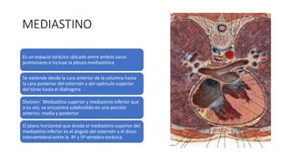 MEDIASTINO
Es un espacio torácico ubicado entre ambos sacos
pulmonares e incluye la pleura mediastínica
Se extiende desde la cara anterior de la columna hasta
la cara posterior del esternón y del opérculo superior
del tórax hasta el diafragma
Division: Mediastino superior y mediastino inferior que
a su vez, se encuentra subdividido en una porción
anterior, media y posterior.
El plano horizontal que divide el mediastino superior del
mediastino inferior es el ángulo del esternón y el disco
intervertebral entre la 4ª y 5ª vértebra torácica.
 