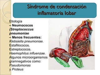 Síndrome de condensaciónSíndrome de condensación
inflamatoria lobarinflamatoria lobar
Etiología
– Neumococos
(Streptococcus
pneumoniae
– Menos frecuentes:
Klebsiella pneumoniae.
Estafilococos.
Estreptococos.
Haemophilus influenzae.
Algunos microorganismos
gramnegativos como:
Pseudomonas
y Proteus
 