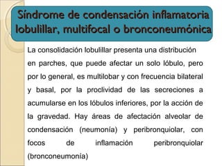 Síndrome de condensación inflamatoriaSíndrome de condensación inflamatoria
lobulillar, multifocal o bronconeumónicalobulillar, multifocal o bronconeumónica
La consolidación lobulillar presenta una distribución
en parches, que puede afectar un solo lóbulo, pero
por lo general, es multilobar y con frecuencia bilateral
y basal, por la proclividad de las secreciones a
acumularse en los lóbulos inferiores, por la acción de
la gravedad. Hay áreas de afectación alveolar de
condensación (neumonía) y peribronquiolar, con
focos de inflamación peribronquiolar
(bronconeumonía)
 