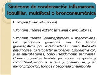 Síndrome de condensación inflamatoriaSíndrome de condensación inflamatoria
lobulillar, multifocal o bronconeumónicalobulillar, multifocal o bronconeumónica
Etiología(Causas infecciosas)
•Bronconeumonías extrahospitalarias o ambulatorias.
•Bronconeumonías intrahospitalarias o nosocomiales.
Los principales gérmenes son los bacilos
gramnegativos por enterobacterias, como Klebsiella
pneumoniae, Enterobacter aerogenes, Escherichia coli,
y no enterobacterias, como Pseudomonas aeruginosa.
Pueden producirse también por cocos grampositivos
como Staphylococcus aureus y pneumoniae, y en
menor proporción, hongos y Legionella pneumophila
 