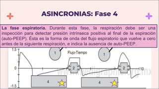 ASINCRONIAS: Fase 4
La fase espiratoria. Durante esta fase, la respiración debe ser una
inspección para detectar presión intrínseca positiva al final de la espiración
(auto-PEEP). Ésta es la forma de onda del flujo espiratorio que vuelve a cero
antes de la siguiente respiración, e indica la ausencia de auto-PEEP.
 