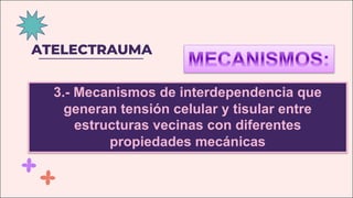 ATELECTRAUMA
3.- Mecanismos de interdependencia que
generan tensión celular y tisular entre
estructuras vecinas con diferentes
propiedades mecánicas
 