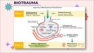 BIOTRAUMA
 