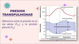PRESION
TRANSPULMONAR
Diferencia entre la presión en la
vía aérea (Paw) y la presión
pleural (Ppl)
 