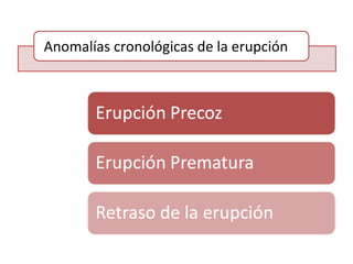 Anomalías cronológicas de la erupción
 