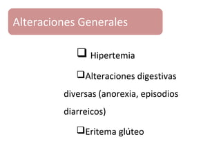  Hipertemia
Alteraciones digestivas
diversas (anorexia, episodios
diarreicos)
Eritema glúteo
Alteraciones Generales
 