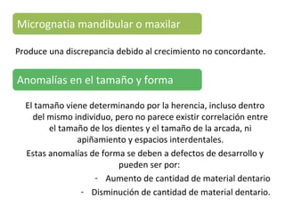 Produce una discrepancia debido al crecimiento no concordante.
Micrognatia mandibular o maxilar
Anomalías en el tamaño y forma
El tamaño viene determinando por la herencia, incluso dentro
del mismo individuo, pero no parece existir correlación entre
el tamaño de los dientes y el tamaño de la arcada, ni
apiñamiento y espacios interdentales.
Estas anomalías de forma se deben a defectos de desarrollo y
pueden ser por:
- Aumento de cantidad de material dentario
- Disminución de cantidad de material dentario.
 