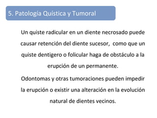 Un quiste radicular en un diente necrosado puede
causar retención del diente sucesor, como que un
quiste dentigero o folicular haga de obstáculo a la
erupción de un permanente.
Odontomas y otras tumoraciones pueden impedir
la erupción o existir una alteración en la evolución
natural de dientes vecinos.
5. Patología Quística y Tumoral
 