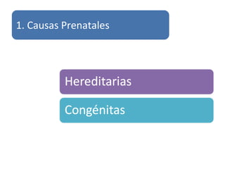 1. Causas Prenatales
 