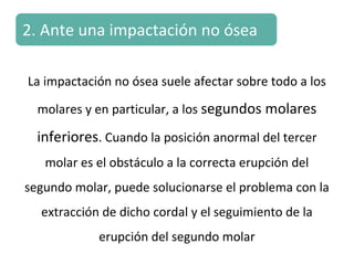 La impactación no ósea suele afectar sobre todo a los
molares y en particular, a los segundos molares
inferiores. Cuando la posición anormal del tercer
molar es el obstáculo a la correcta erupción del
segundo molar, puede solucionarse el problema con la
extracción de dicho cordal y el seguimiento de la
erupción del segundo molar
2. Ante una impactación no ósea
 